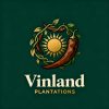 Vinland